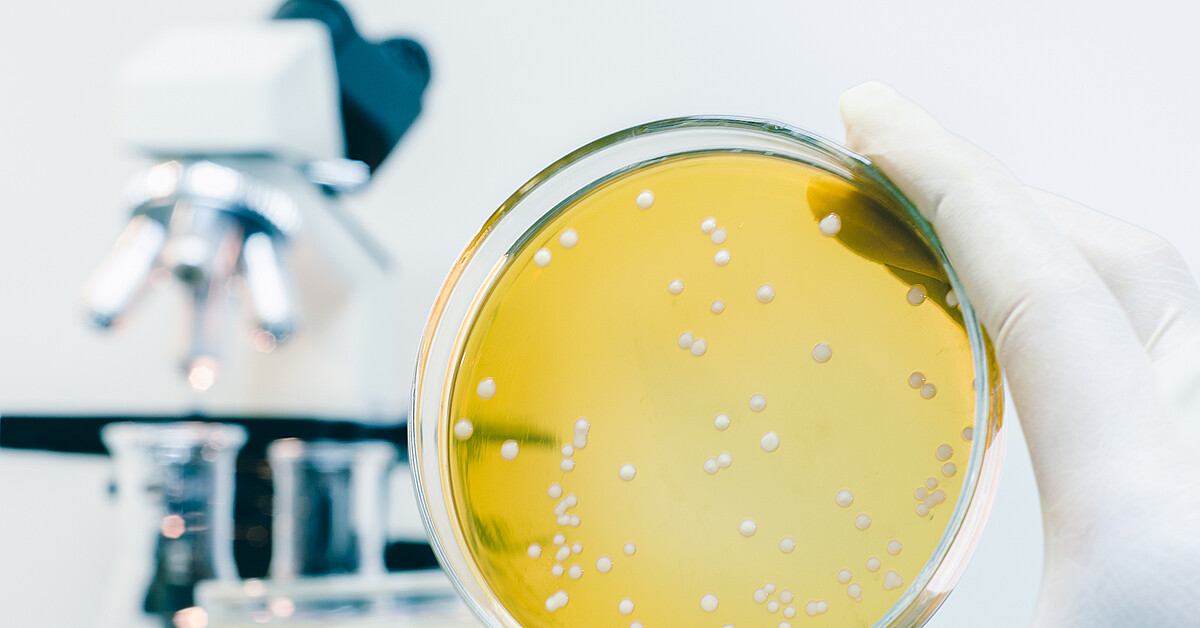 CDC issues warning over deadly bacteria spreading throughout Gulf Coast